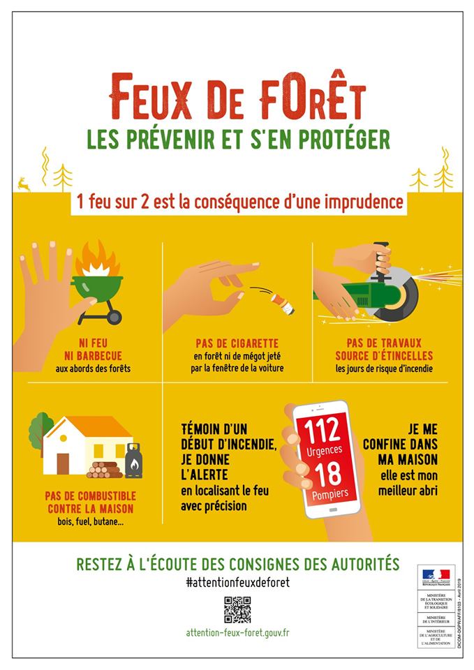 Lire la suite à propos de l’article Feux de forêt : adoptez les bons gestes