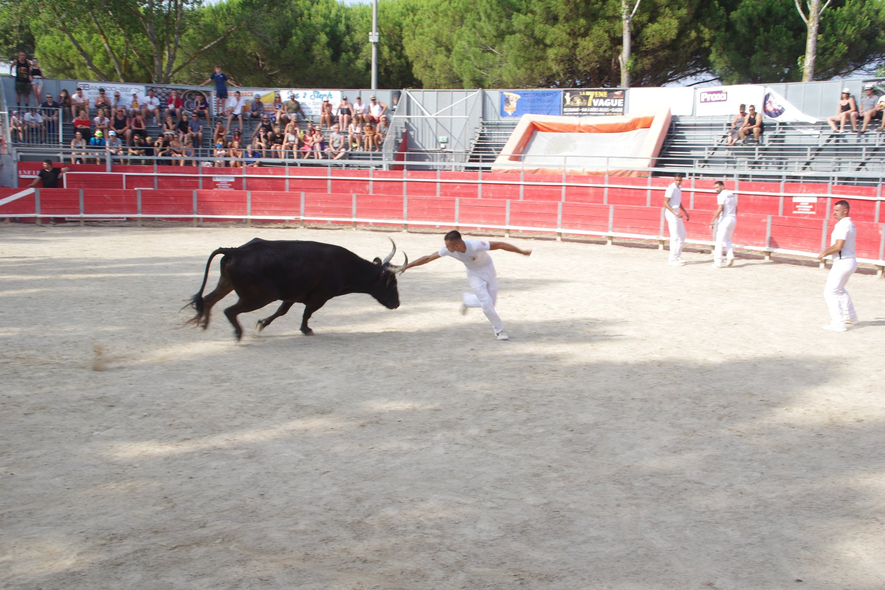 feria19 (1)