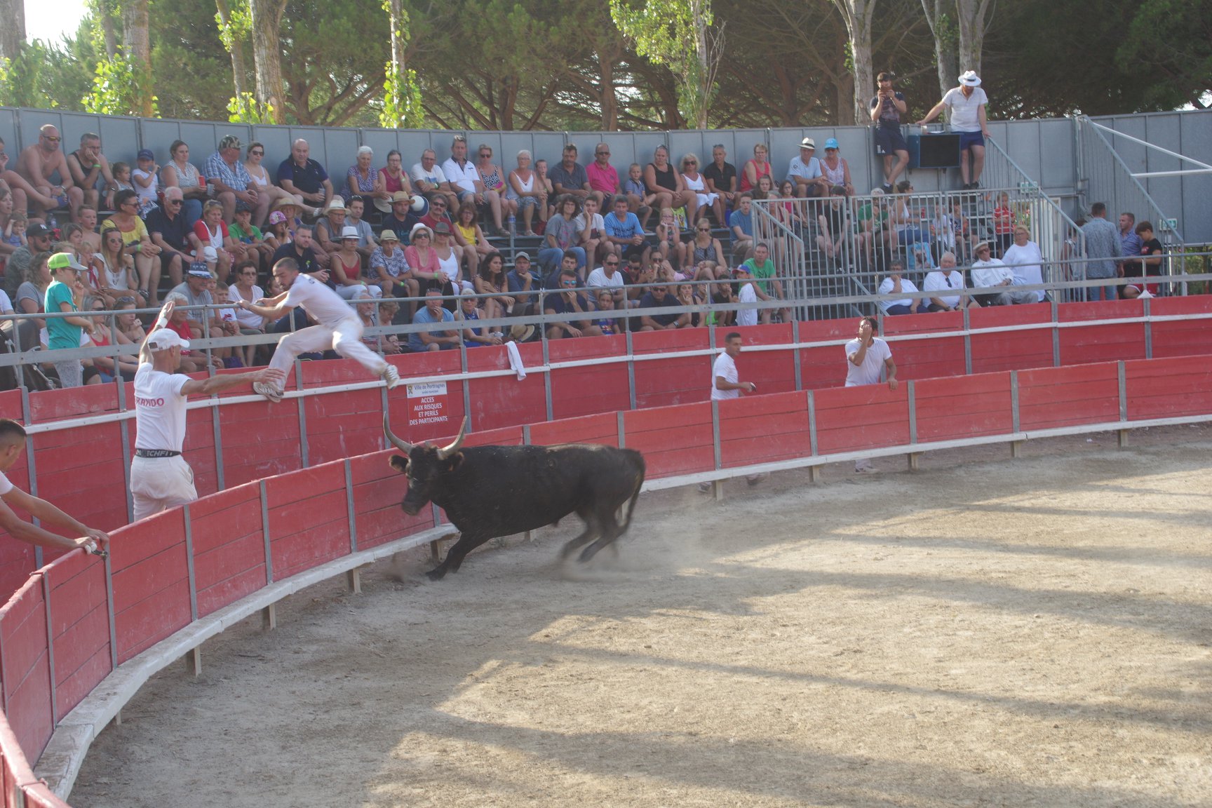 feria19 (10)