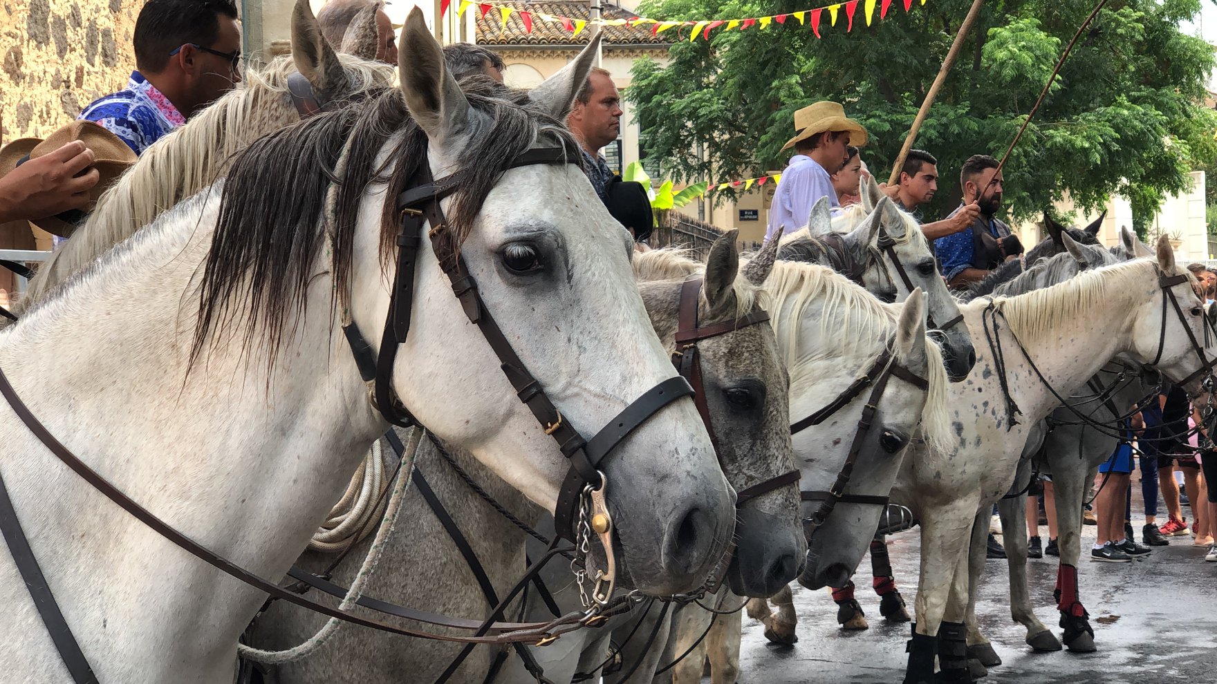 feria19 (15)