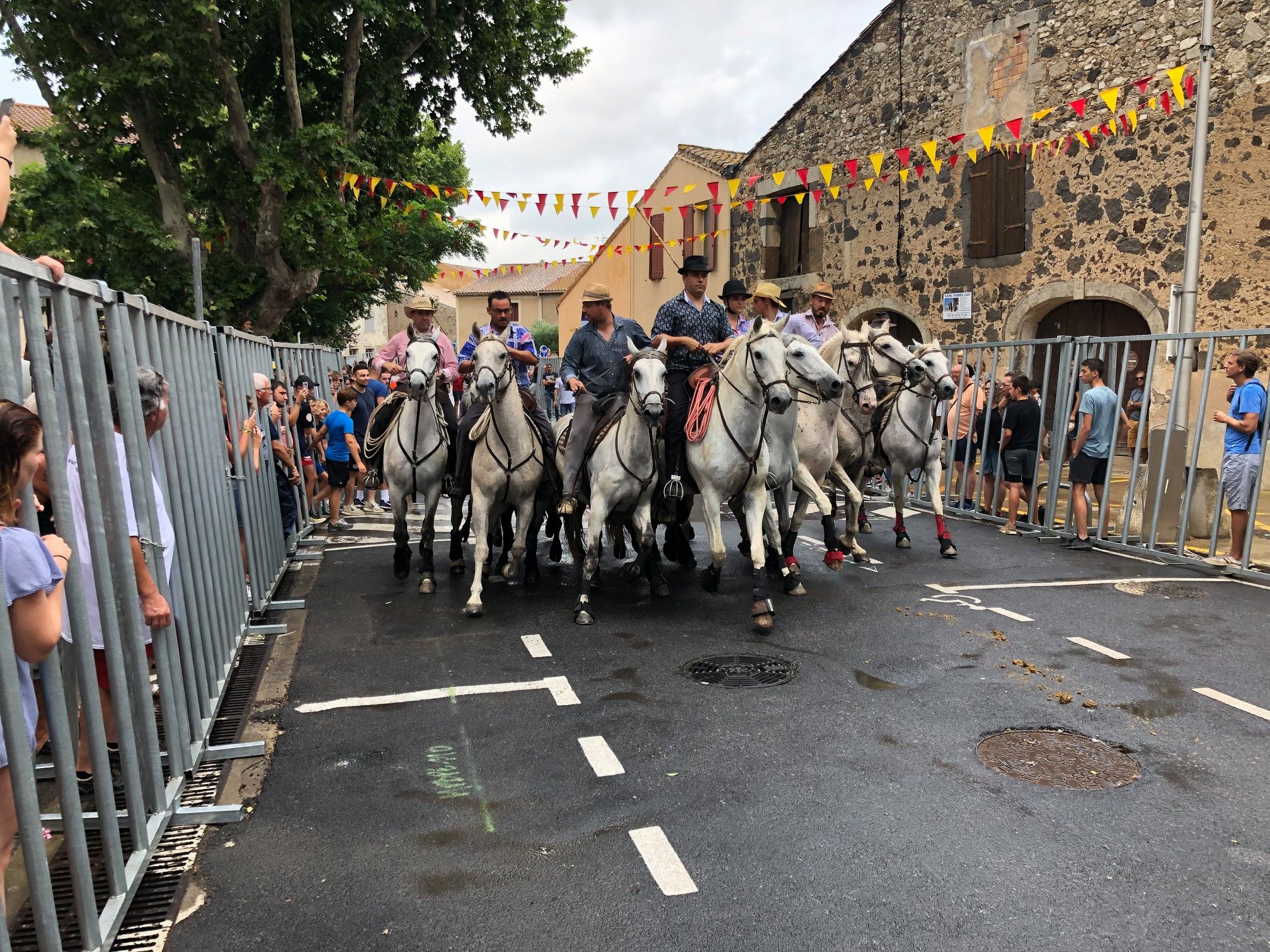 feria19 (19)