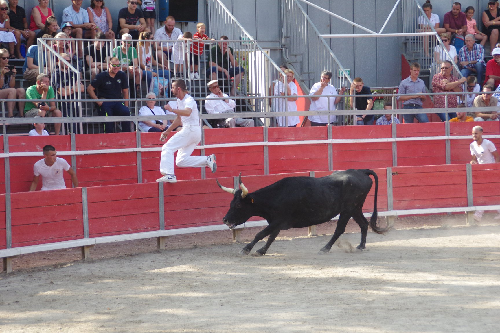 feria19 (27)