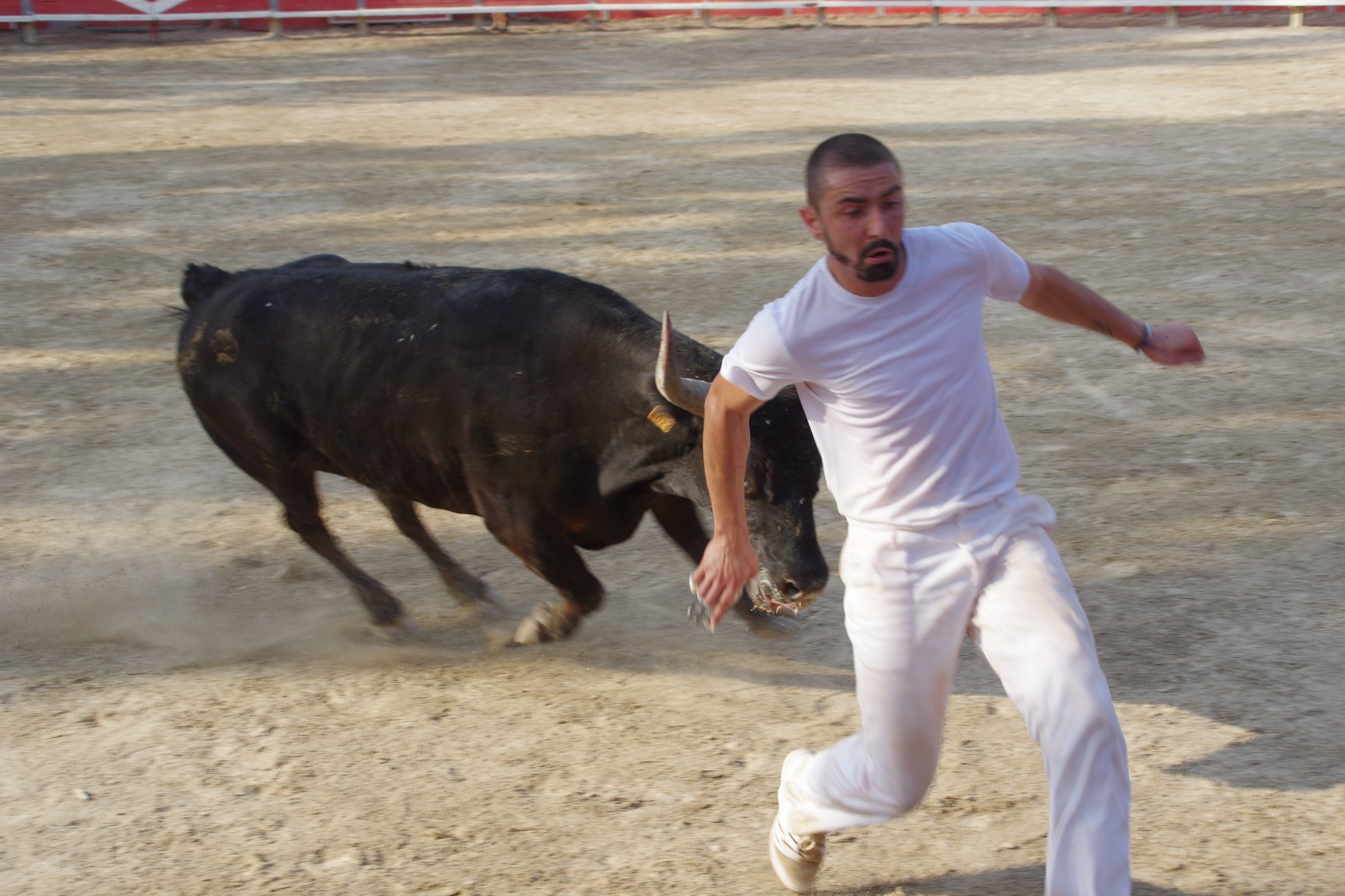 feria19 (30)