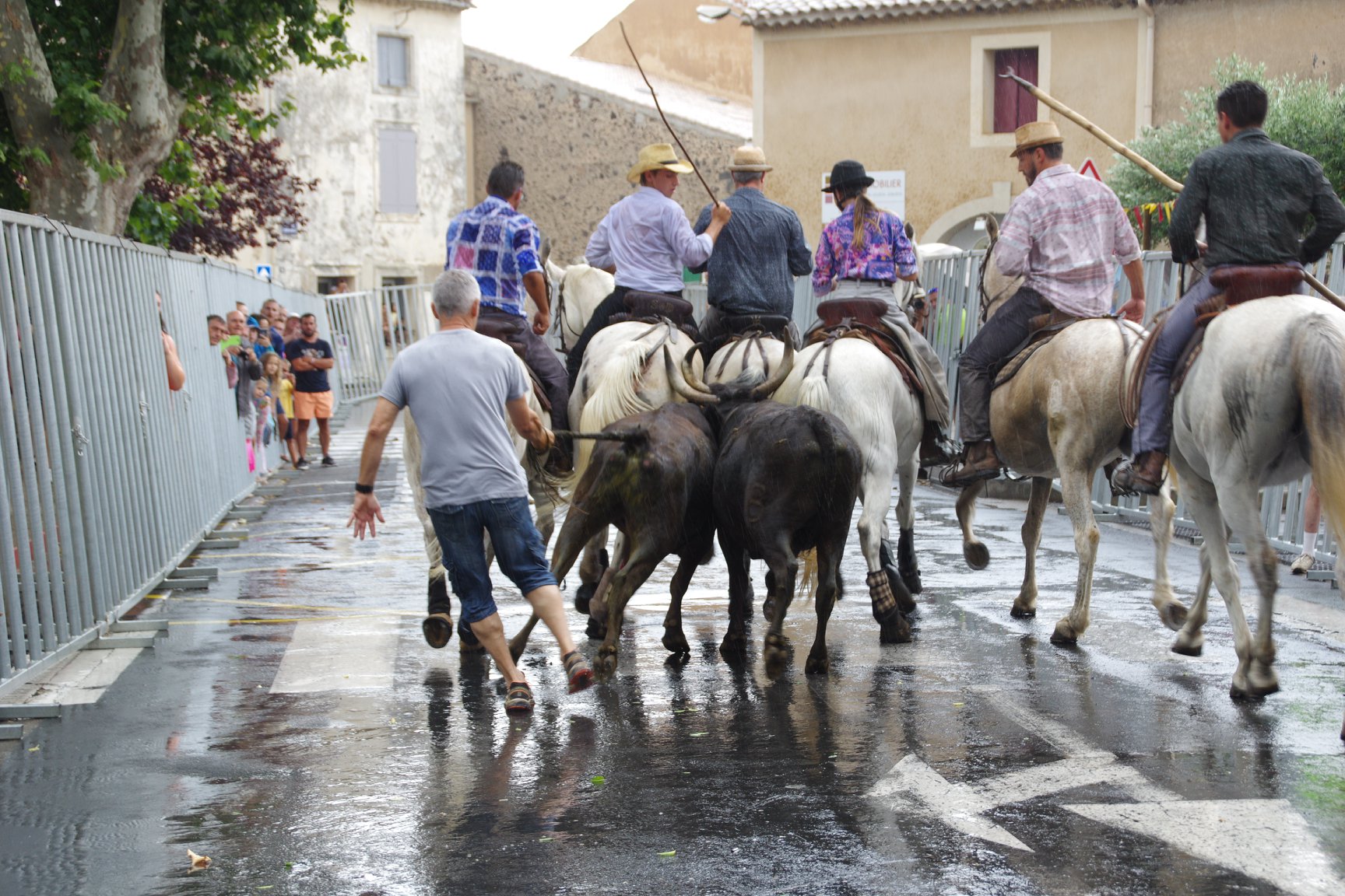 feria19 (31)