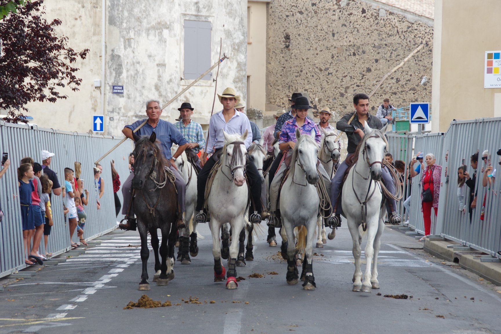 feria19 (33)