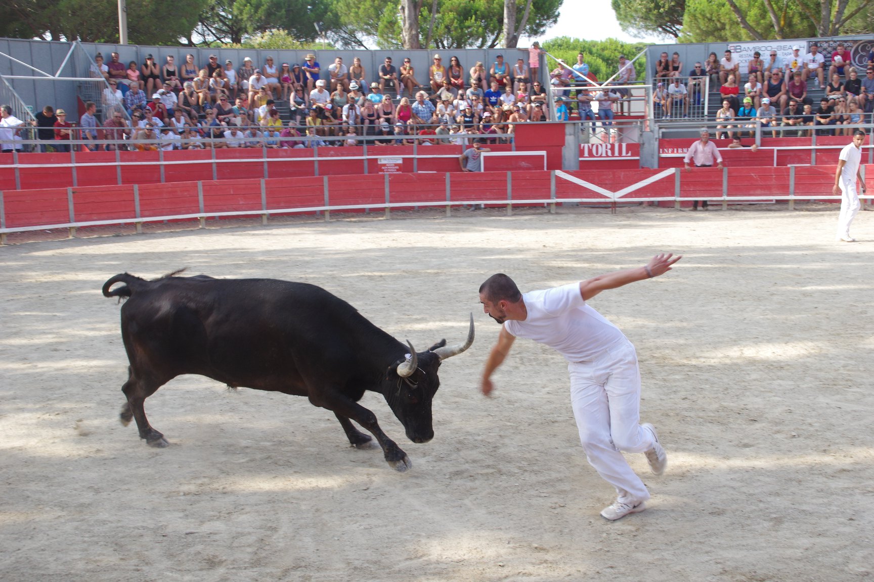 feria19 (37)