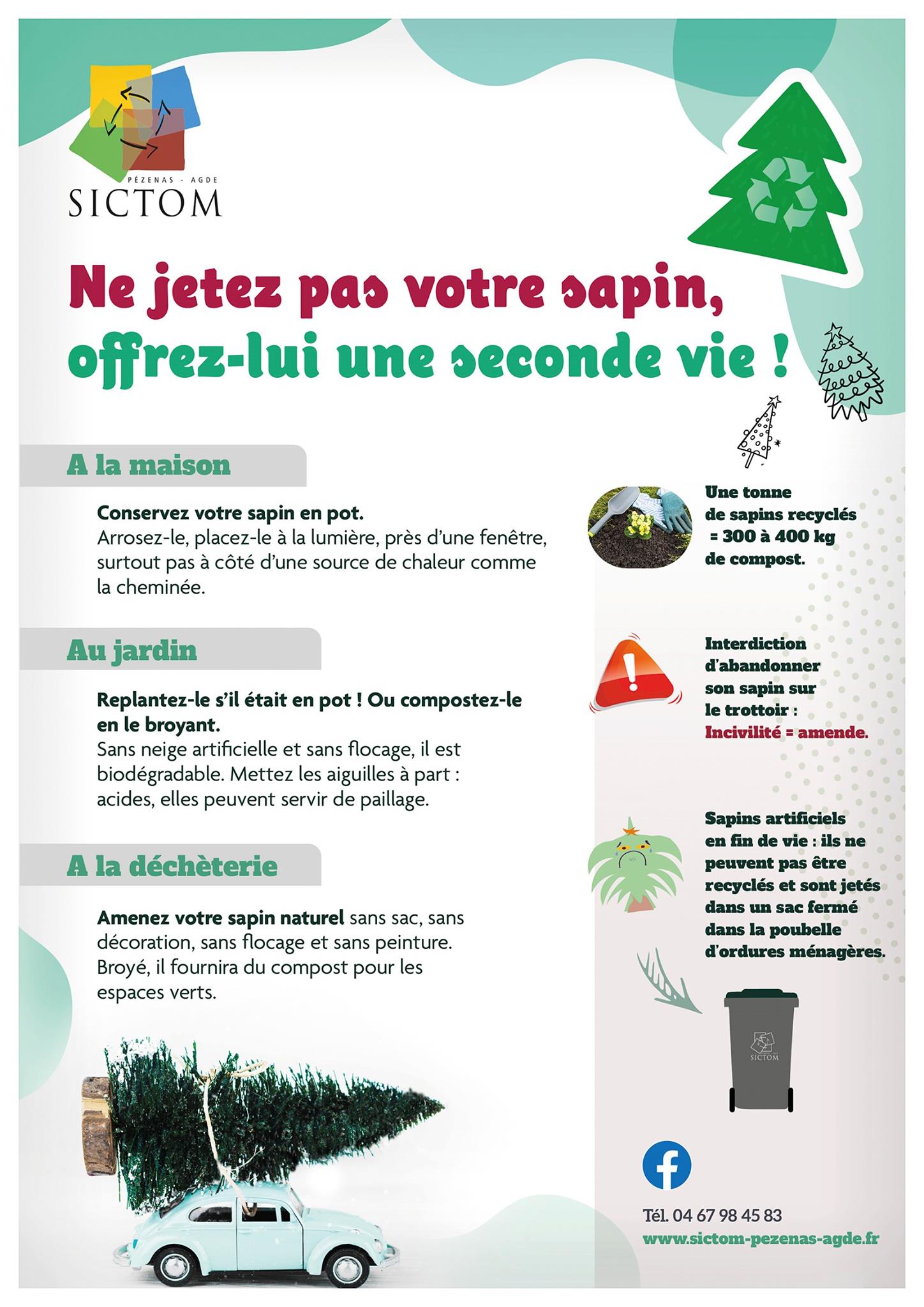 You are currently viewing Ne jetez pas votre sapin
