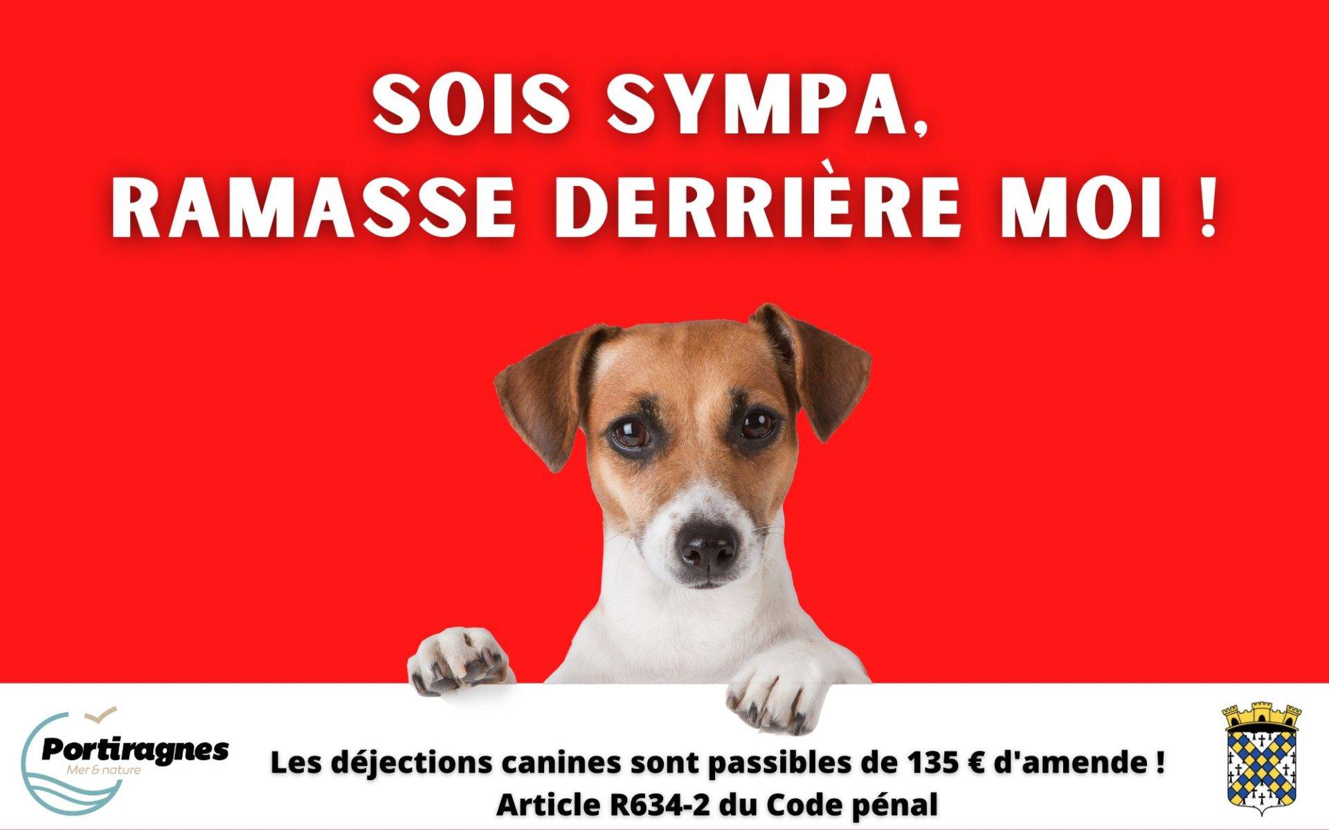 Lire la suite à propos de l’article 𝐃𝐄𝐉𝐄𝐂𝐓𝐈𝐎𝐍𝐒 𝐂𝐀𝐍𝐈𝐍𝐄𝐒