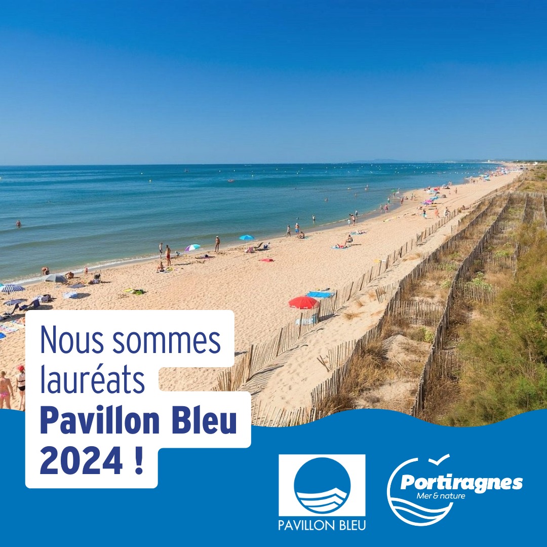 Lire la suite à propos de l’article 𝗣𝗔𝗩𝗜𝗟𝗟𝗢𝗡 𝗕𝗟𝗘𝗨 𝟮𝟬𝟮𝟰