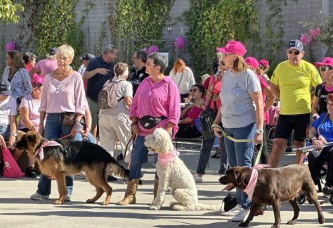 558889688_1108169151433295_7449760510447615024_n