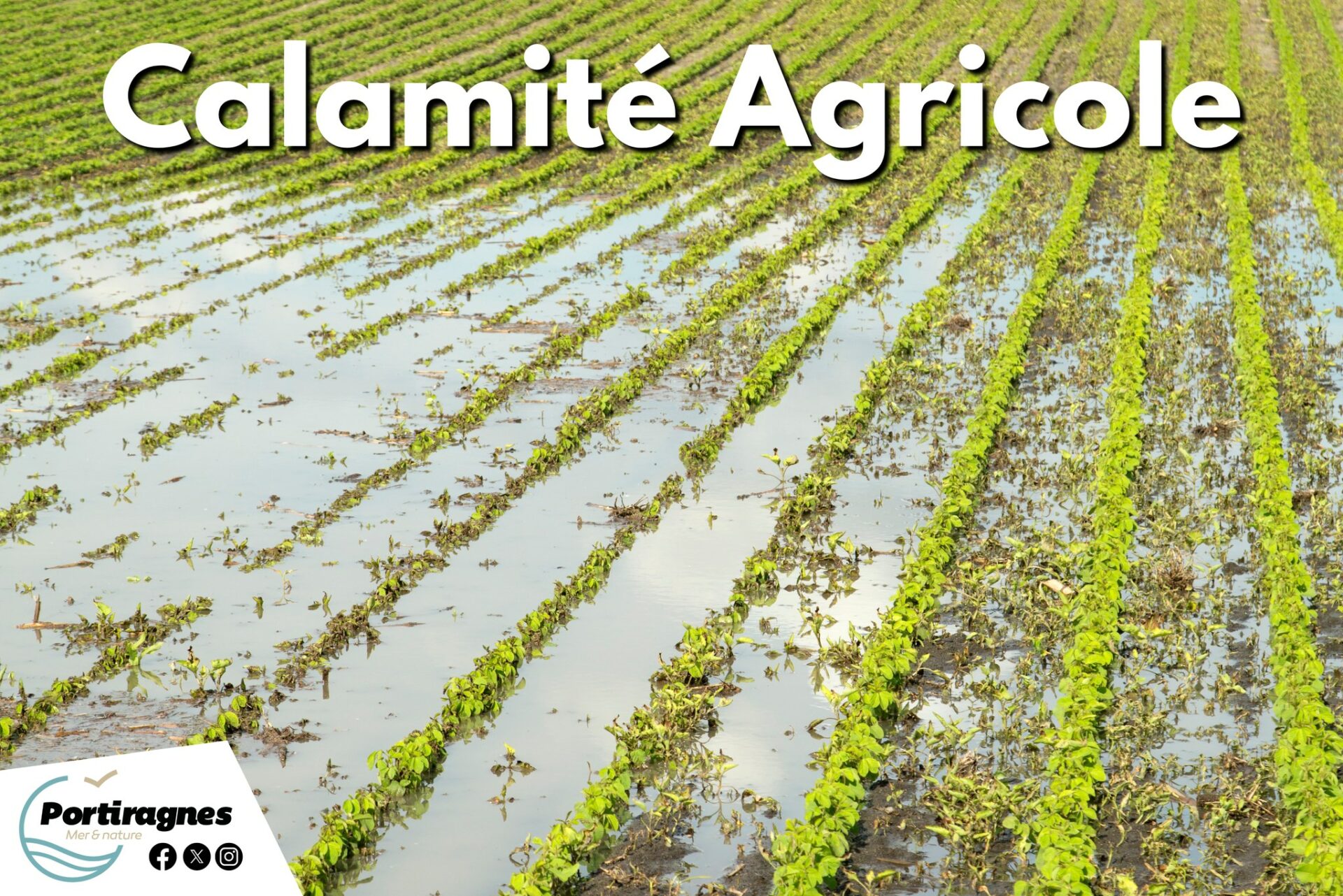 Lire la suite à propos de l’article 𝗜𝗡𝗙𝗢𝗥𝗠𝗔𝗧𝗜𝗢𝗡 I 𝗖𝗔𝗟𝗔𝗠𝗜𝗧É𝗦 𝗔𝗚𝗥𝗜𝗖𝗢𝗟𝗘𝗦 – 𝗘𝗫𝗖È𝗦 𝗗𝗘 𝗣𝗟𝗨𝗜𝗘𝗦 𝗗É𝗖𝗘𝗠𝗕𝗥𝗘 𝟮𝟬𝟮𝟱