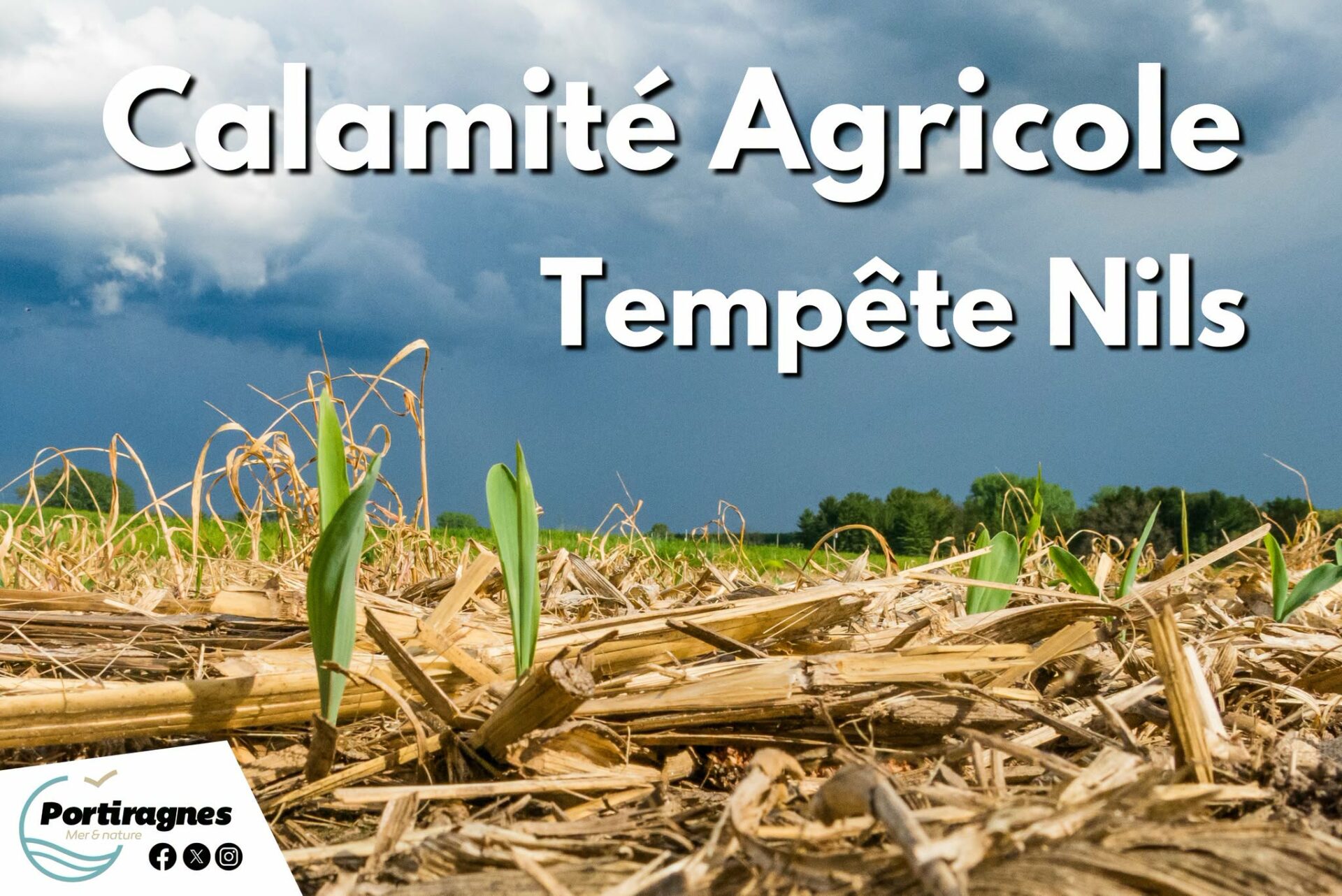 Lire la suite à propos de l’article 𝗜𝗡𝗙𝗢𝗥𝗠𝗔𝗧𝗜𝗢𝗡 I 𝗖𝗔𝗟𝗔𝗠𝗜𝗧É𝗦 𝗔𝗚𝗥𝗜𝗖𝗢𝗟𝗘𝗦 – 𝗩𝗲𝗻𝘁 𝗱𝘂 𝟭𝟭 𝗮𝘂 𝟭𝟮 𝗳é𝘃𝗿𝗶𝗲𝗿 𝟮𝟬𝟮𝟲 – 𝘁𝗲𝗺𝗽ê𝘁𝗲 𝗡𝗶𝗹𝘀
